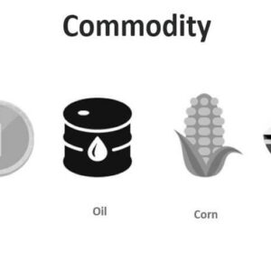 منظور از کامودیتی (Commodity) چیست؟