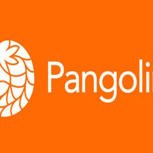 صرافی پنگولین چیست؟ آموزش کار با صرافی غیرمتمرکز Pangolin