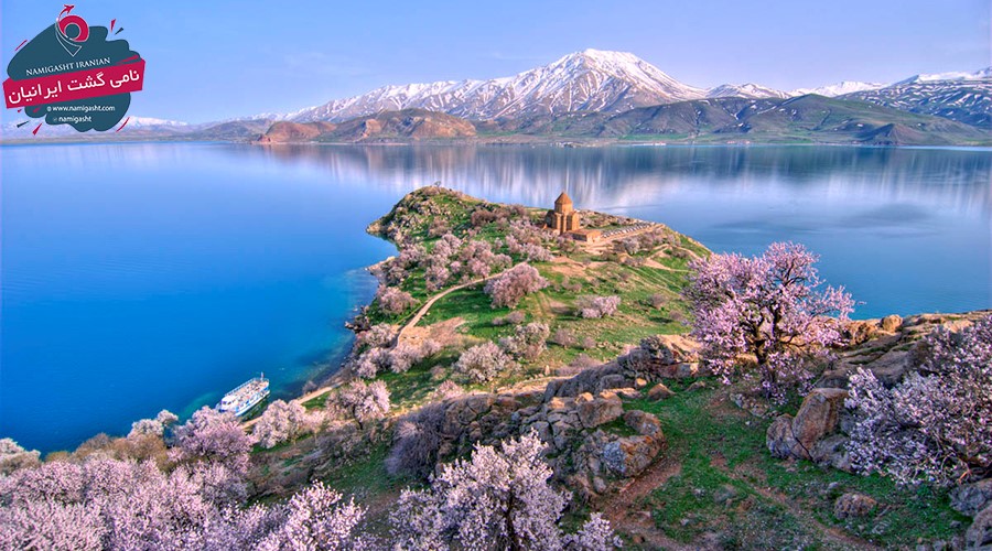 تور وان