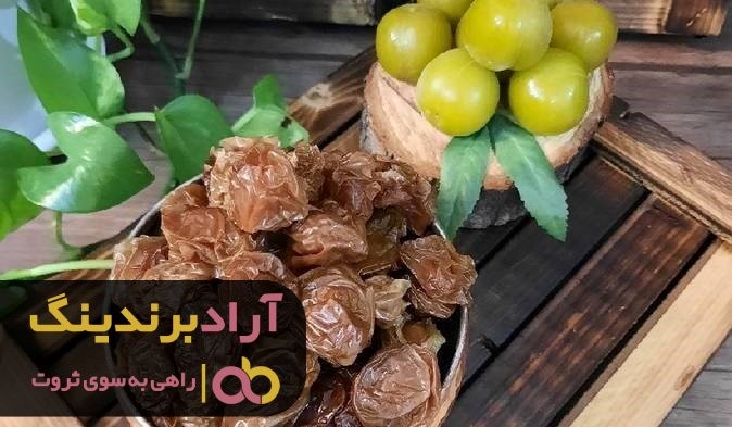 آلوچه خشک جنگلی سبز