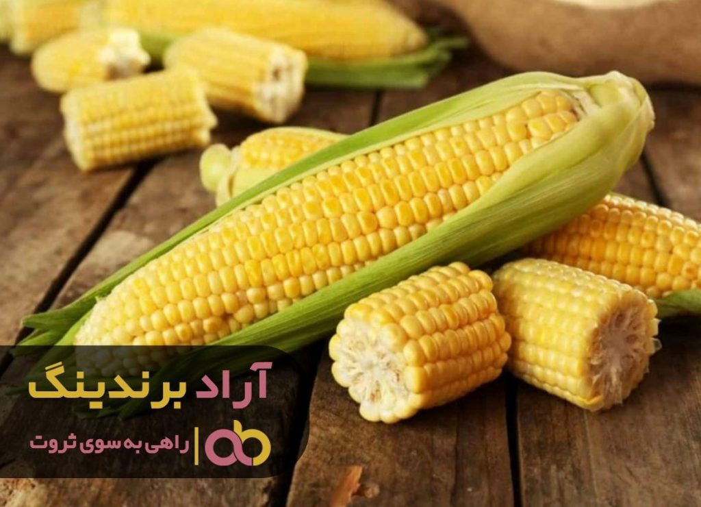 ذرت شیرین قزوین