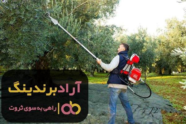 شیکر برداشت میوه
