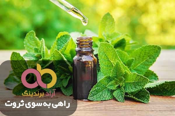 عرق نعنا در بارداری