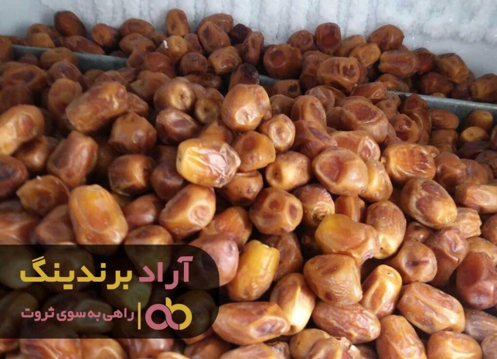 صادرات خرما زاهدی