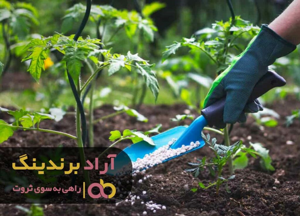 کود نیترات آمونیوم