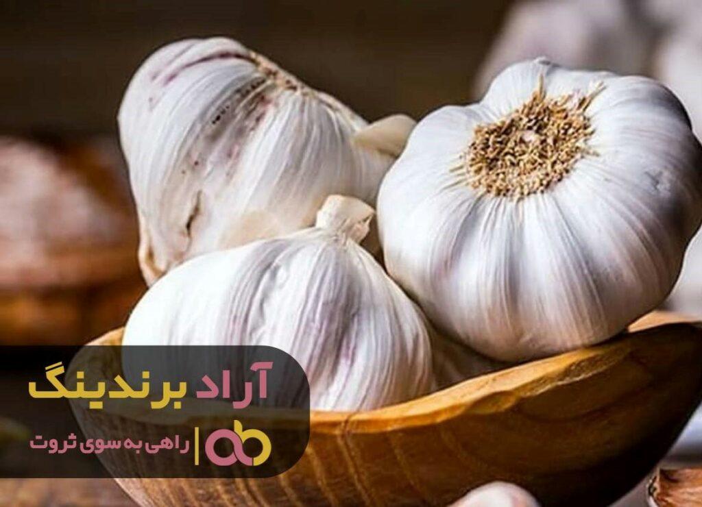 خواص سیر خام برای معده