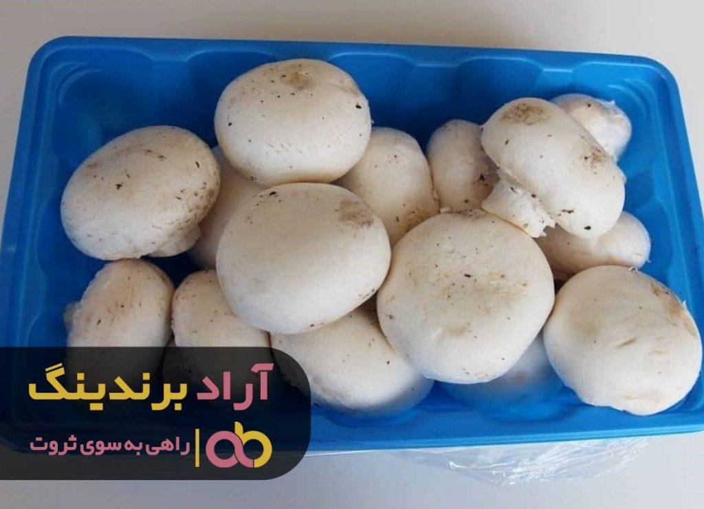 قارچ دکمه ای بسته بندی