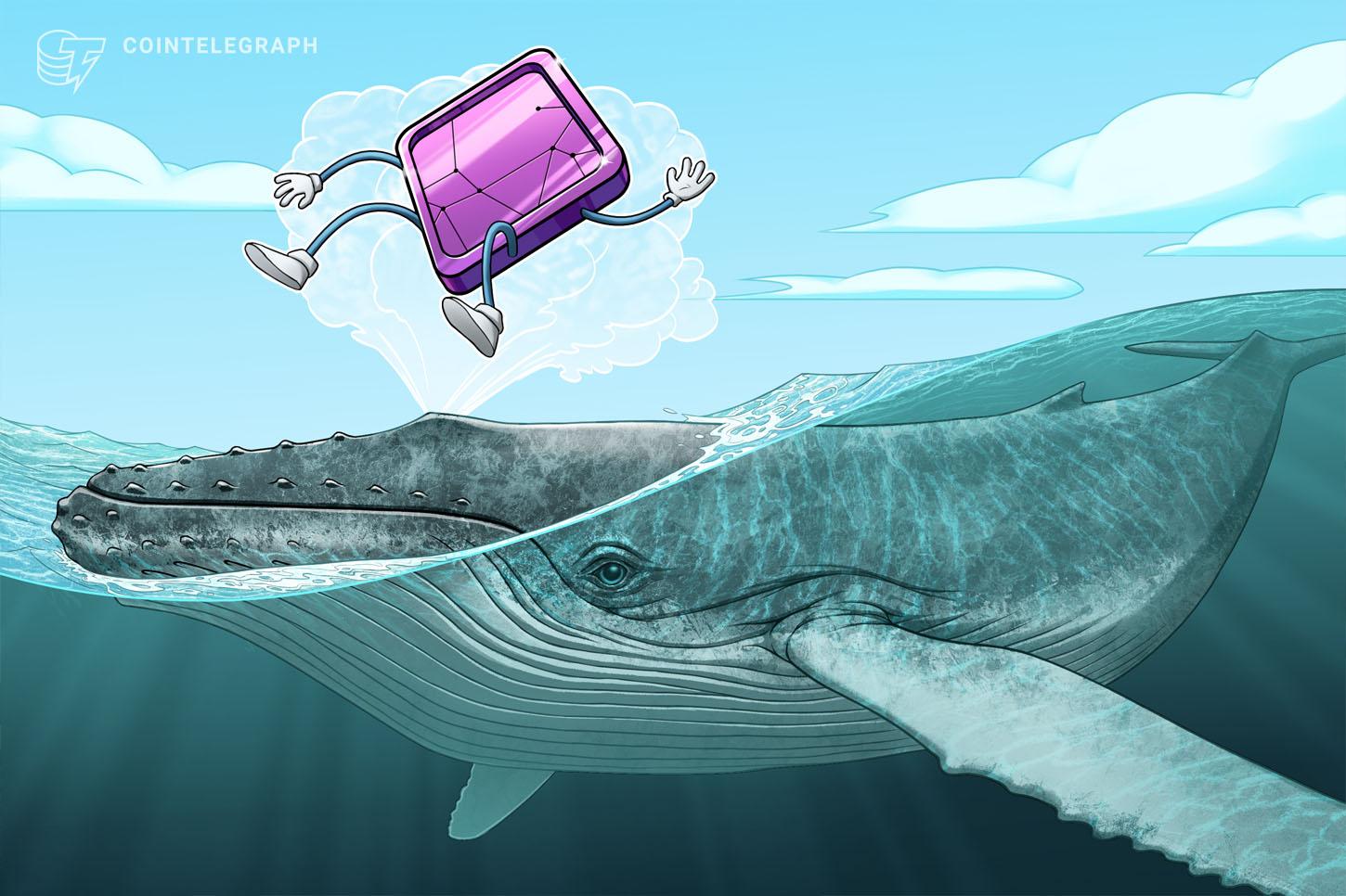 فروش Whale 1010 NFT