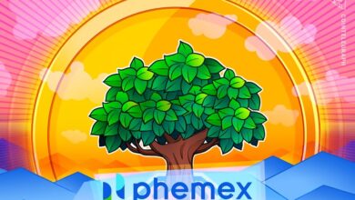 فیمکس