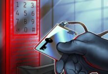بازیابی نوبیتکس