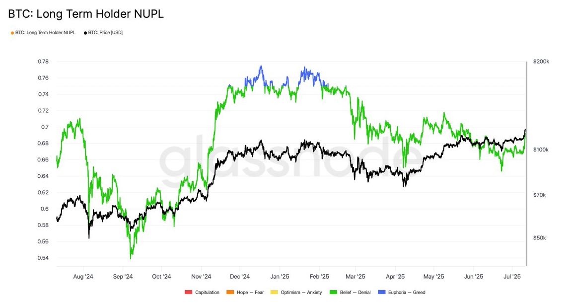 Long Term Holder NUPL